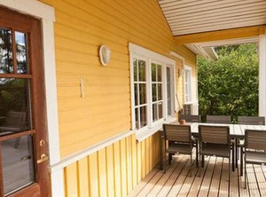 Keltavuokko | Ikaalinen