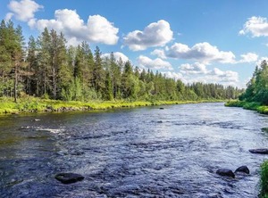 Holiday Kulpakko | Rovaniemi