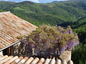 Holiday Gluiras Persons | Gluiras