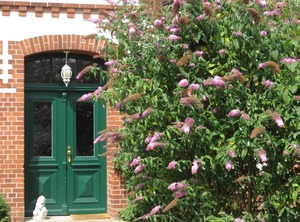 Holiday Krusendorf Persons Bedrooms | Krusendorf