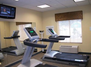 Holiday Inn Express Cortland Ihg Hotel | Cortland