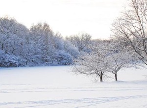 Holiday Inn Express Princeton Southeast Ihg Hotel | Plainsboro