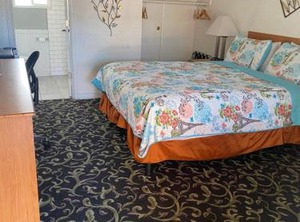 Motel | Larkspur
