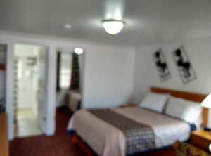 Motel | Larkspur