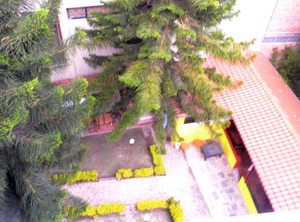 Motel | Thamel