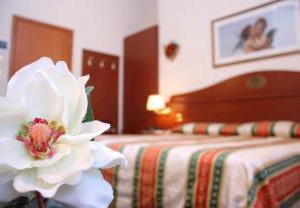 Hotel | Zelarino