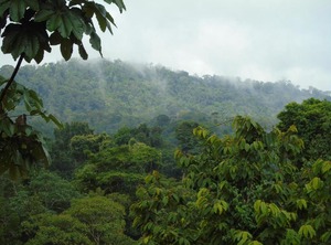 Hotel El Tesoro De Sir Drake Bay | Drake Bay