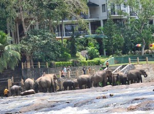 Hotel Elephant Bay | Pinnawala