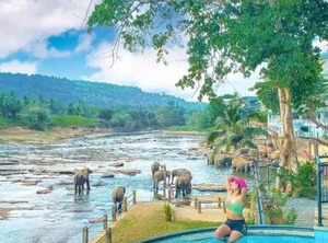 Hotel Elephant Bay | Pinnawala