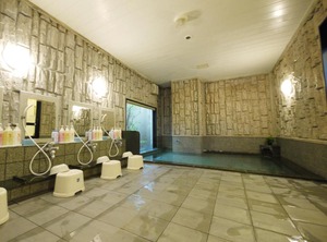 Hotel Tsubamesanjo | Sanjo