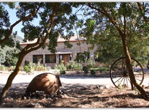 Hotel Dehesa Del Rincon | Campocamara