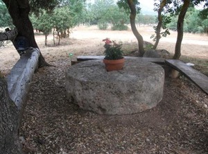 Hotel Dehesa Del Rincon | Campocamara