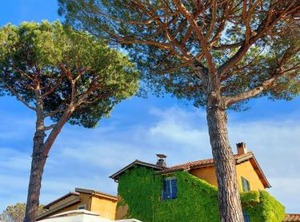 Hotel | Selva Candida