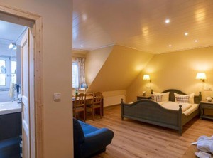 Dz Hotel Zum Harzer | Clausthal-Zellerfeld