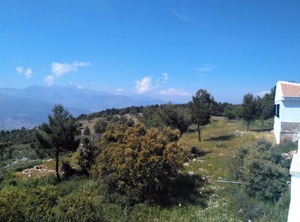 Magina Dream Guardia Tourism | Jaen