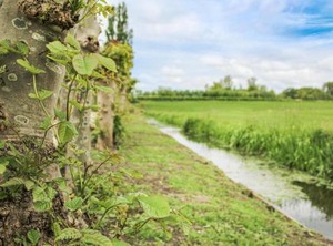 Huis Nr | Woubrugge