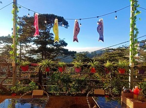 Icolor Da Lat | Da Lat