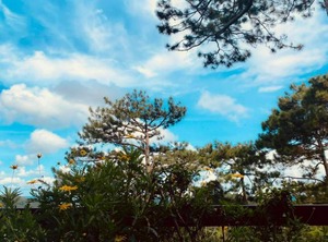 Icolor Da Lat | Da Lat