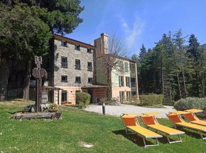 Il Bosco Di Campo Marzano | Borzonasca