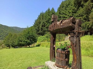 Il Bosco Di Campo Marzano | Borzonasca