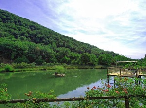 Fattoria Celle Ponte Agli Stolli Figline E Incisa Valdarno | Figline e Incisa Valdarno