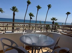 Ithaki Phinikoudes No | Larnaca City Centre