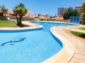 Jardines Canarios | Los Cristianos