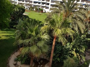 Jardines Del Puerto | Puerto Banus