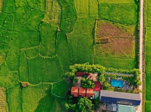 Sy Homestay | Son Trach