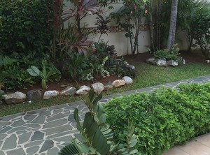 Beachcross Villa Rodney Bay | Rodney Bay