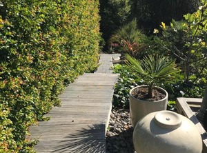 Kalani Retreat | Welcome Bay