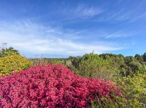 Kauri Villas | Parua Bay