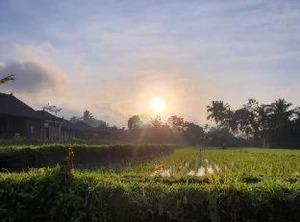 Kayangan Ubud | Kenderan