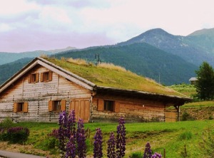 Ker Puigmal | Saint-Pierre-dels-Forcats