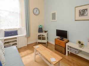 Kittiwake | North Berwick
