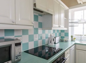 Kittiwake | North Berwick