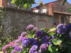 La Casatorre Ponticello | Filattiera