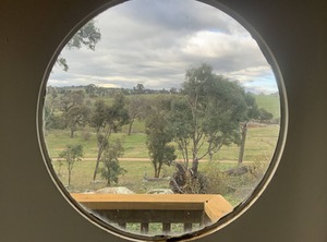 Stop Brook Train | Wallaroo