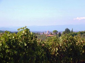 Le Civette Country Resort | Bagno a Ripoli