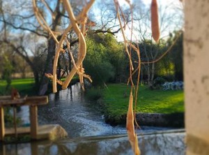 Roulotte Du Moulin De Palet | Le Vieil-Bauge