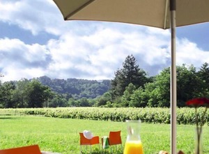 Domaine Des Vans | Chambonas