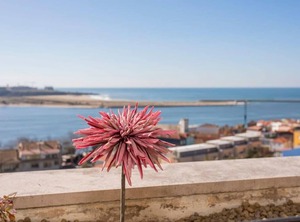 Porto | Aldoar Foz do Douro e Nevogilde