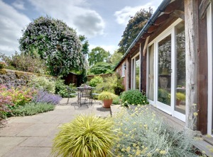 Lime Trees | Nettlestead