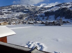 Lischenhaus Strubel | Lenk