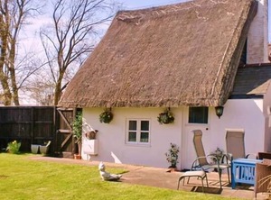 Thatch | Walton on the Naze
