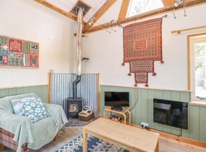 Willow | Blandford Forum