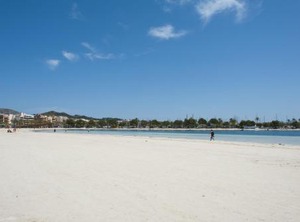 Llepol | Alcudia