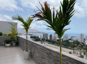 Building | Barranco