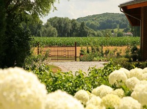 Farmhouse Wijlre Forest | Beertsenhoven