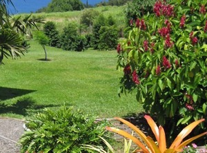 Hamakua | Ninole